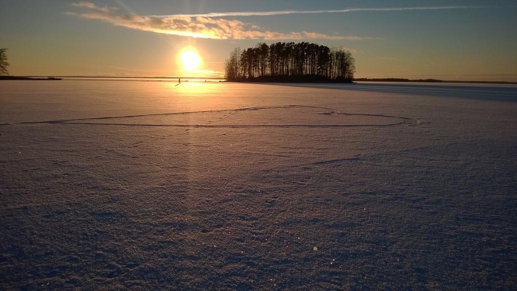 Koivuniemi Cottage Säkylä Exteriör bild