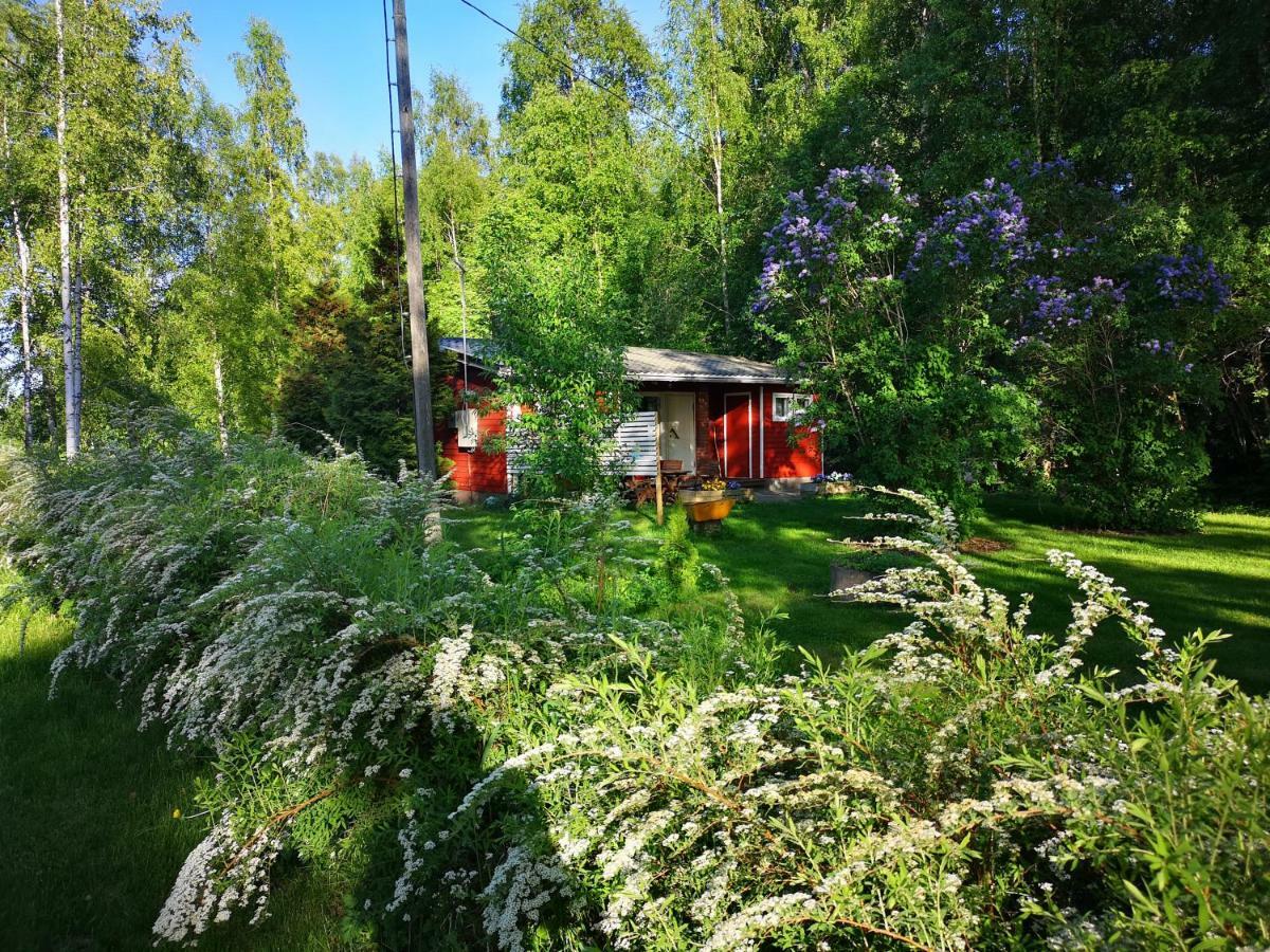 Koivuniemi Cottage Säkylä Exteriör bild