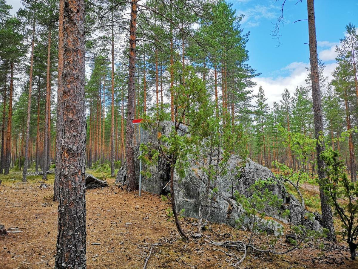 Koivuniemi Cottage Säkylä Exteriör bild