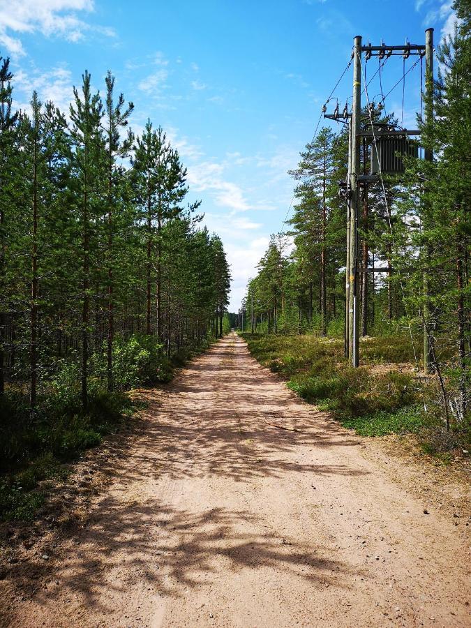 Koivuniemi Cottage Säkylä Exteriör bild